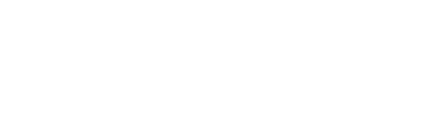 DataCrazy — parceiro oficial da Berty